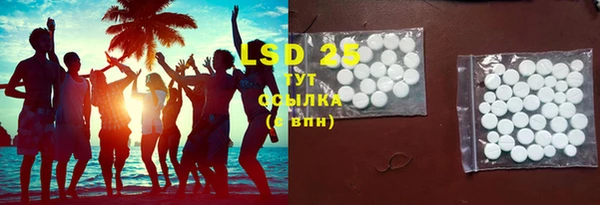 индика Иннополис