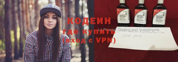 хмурый Инсар