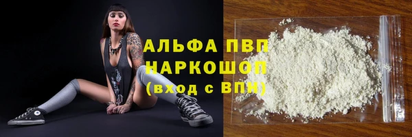 хмурый Инсар