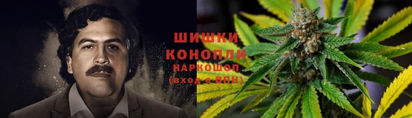 индика Иннополис
