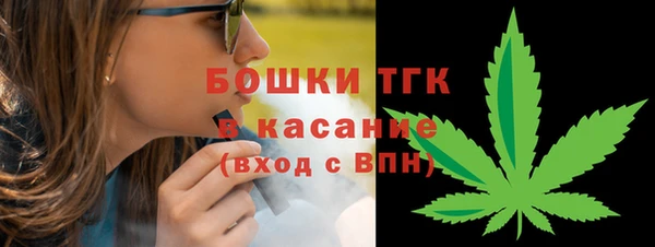 хмурый Инсар