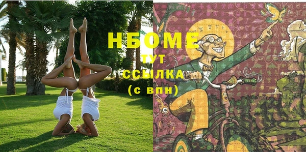 индика Иннополис