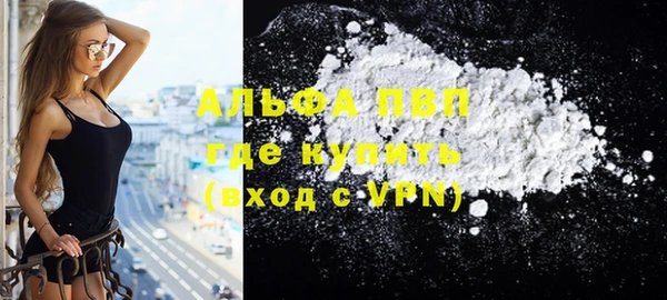 хмурый Инсар