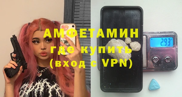 индика Иннополис