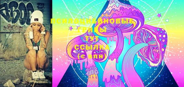 индика Иннополис