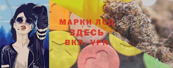 хмурый Инсар
