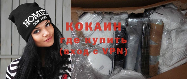 индика Иннополис