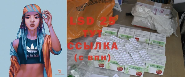 хмурый Инсар