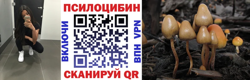 где купить наркотик  Пойковский  Псилоцибиновые грибы GOLDEN TEACHER 